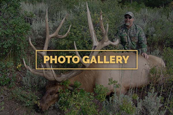 Photo Galleries North Rim Trophy Hunts Photo Galleries