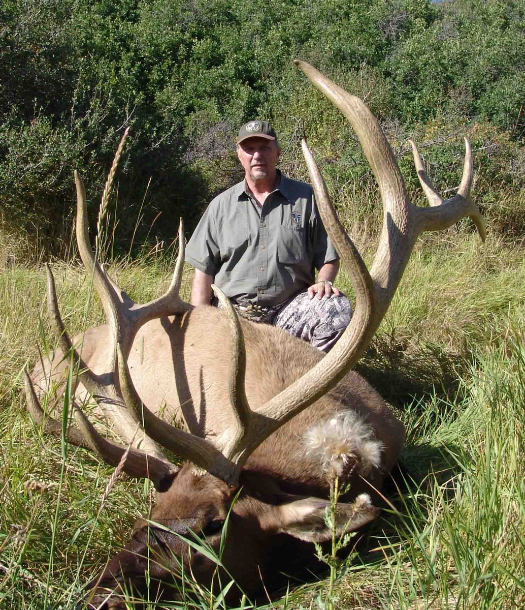 Trophy Elk Trophy Elk Outfitter